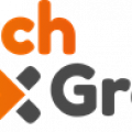 DutchFlexGroup - logo