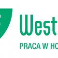 Westflex Polska Sp. z o.o. - logo